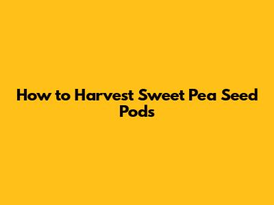 How to Harvest Sweet Pea Seed Pods