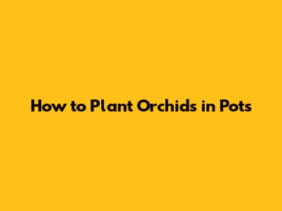 How to Plant Orchids in Pots
