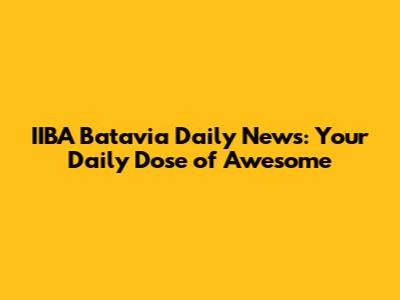 IIBA Batavia Daily News: Your Daily Dose of Awesome