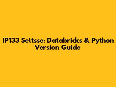 IP133 Seltsse: Databricks & Python Version Guide