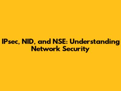 IPsec, NID, and NSE: Understanding Network Security