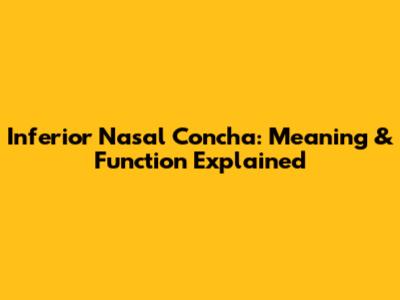 Inferior Nasal Concha: Meaning & Function Explained