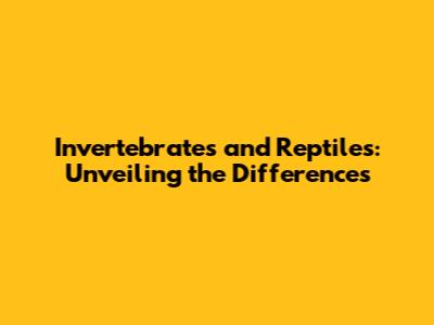 Invertebrates and Reptiles: Unveiling the Differences