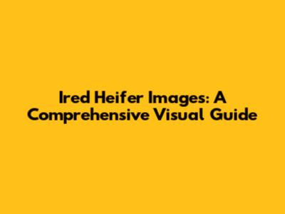 Ired Heifer Images: A Comprehensive Visual Guide
