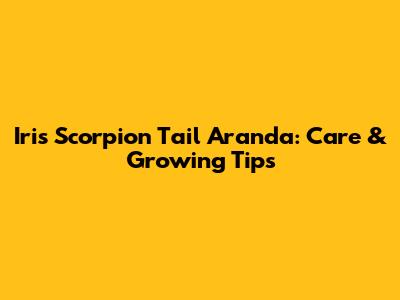 Iris Scorpion Tail Aranda: Care & Growing Tips