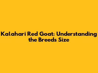 Kalahari Red Goat: Understanding the Breed's Size