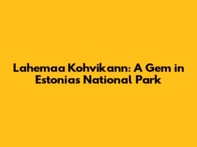Lahemaa Kohvikann: A Gem in Estonia's National Park