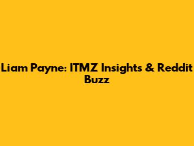 Liam Payne: ITMZ Insights & Reddit Buzz
