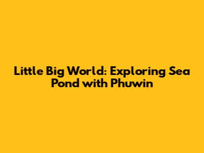 Little Big World: Exploring Sea Pond with Phuwin