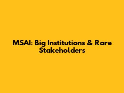 MSAI: Big Institutions & Rare Stakeholders
