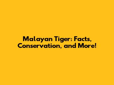 Malayan Tiger: Facts, Conservation, and More!