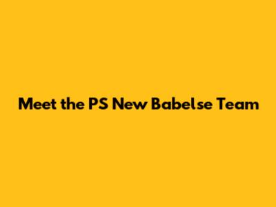 Meet the PS New Babelse Team