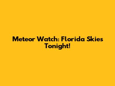Meteor Watch: Florida Skies Tonight!