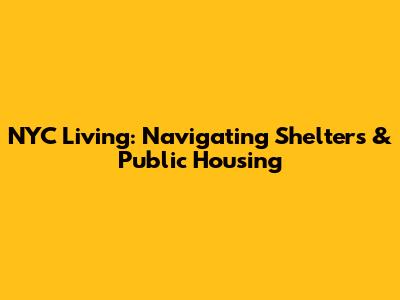 NYC Living: Navigating Shelters & Public Housing