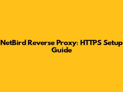 NetBird Reverse Proxy: HTTPS Setup Guide