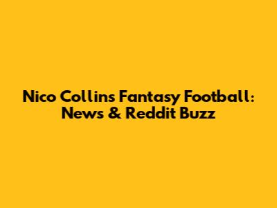 Nico Collins Fantasy Football: News & Reddit Buzz