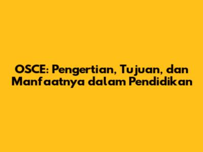 OSCE: Pengertian, Tujuan, dan Manfaatnya dalam Pendidikan