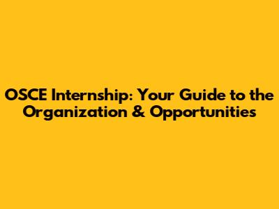 OSCE Internship: Your Guide to the Organization & Opportunities