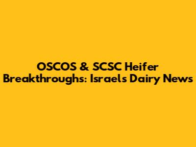 OSCOS & SCSC Heifer Breakthroughs: Israel's Dairy News