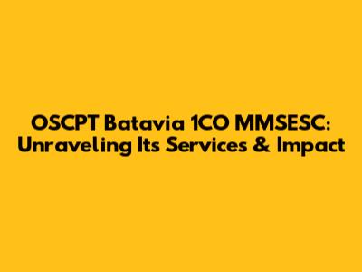 OSCPT Batavia 1CO MMSESC: Unraveling Its Services & Impact