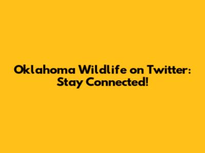 Oklahoma Wildlife on Twitter: Stay Connected!