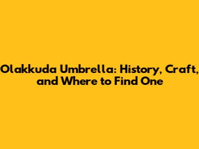 Olakkuda Umbrella: History, Craft, and Where to Find One