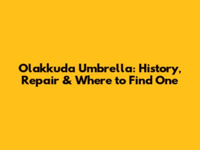 Olakkuda Umbrella: History, Repair & Where to Find One