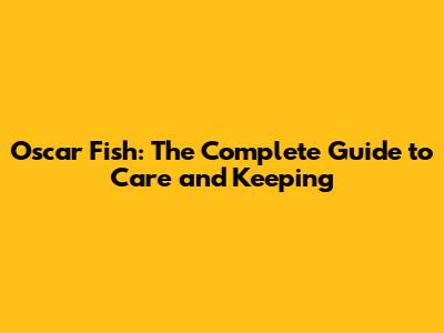 Oscar Fish: The Complete Guide to Care and Keeping