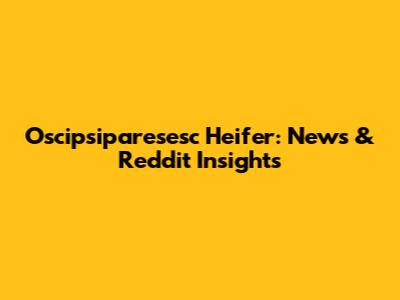 Oscipsiparesesc Heifer: News & Reddit Insights