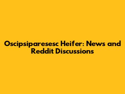 Oscipsiparesesc Heifer: News and Reddit Discussions