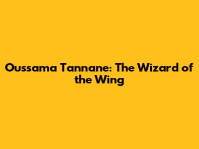 Oussama Tannane: The Wizard of the Wing