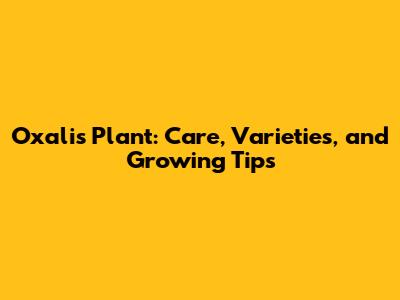 Oxalis Plant: Care, Varieties, and Growing Tips