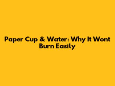 Paper Cup & Water: Why It Won't Burn Easily