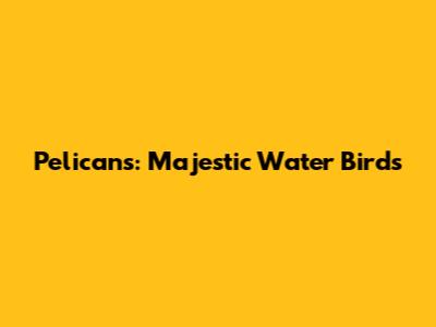 Pelicans: Majestic Water Birds