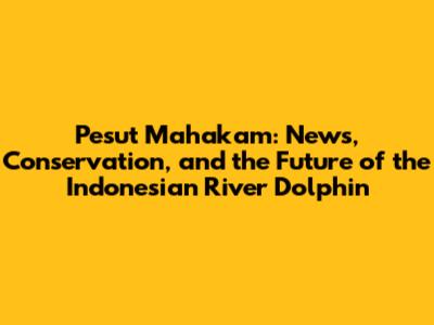 Pesut Mahakam: News, Conservation, and the Future of the Indonesian River Dolphin