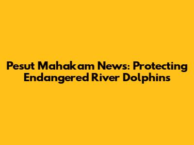 Pesut Mahakam News: Protecting Endangered River Dolphins