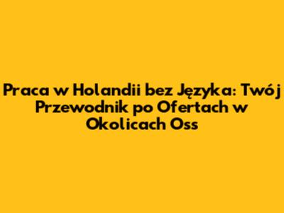 Praca w Holandii bez Języka: Twój Przewodnik po Ofertach w Okolicach Oss