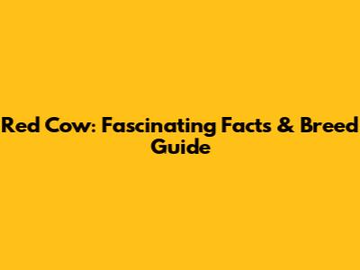 Red Cow: Fascinating Facts & Breed Guide
