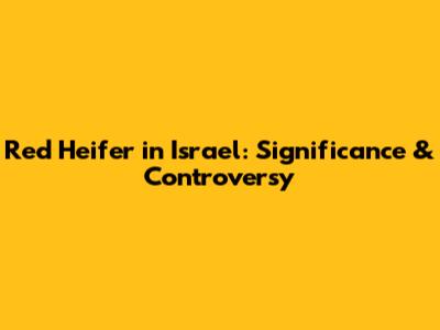 Red Heifer in Israel: Significance & Controversy