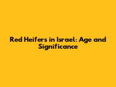Red Heifers in Israel: Age and Significance