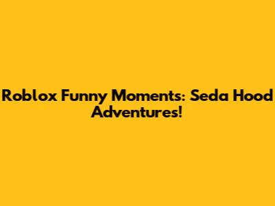 Roblox Funny Moments: Seda Hood Adventures!