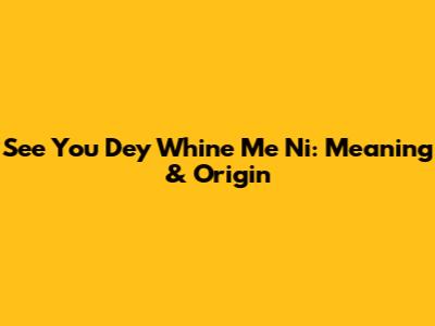 See You Dey Whine Me Ni: Meaning & Origin