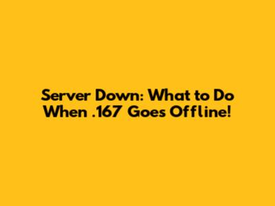 Server Down: What to Do When .167 Goes Offline!