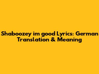 Shaboozey "i'm good" Lyrics: German Translation & Meaning