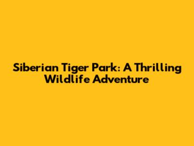 Siberian Tiger Park: A Thrilling Wildlife Adventure