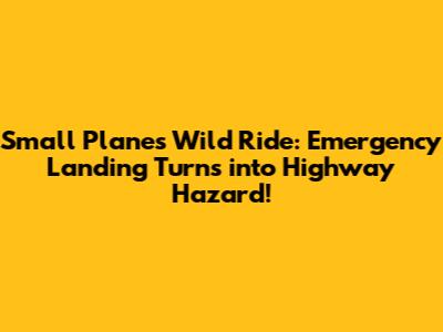 Small Plane's Wild Ride: Emergency Landing Turns into Highway Hazard!