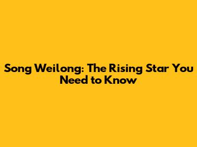 Song Weilong: The Rising Star You Need to Know