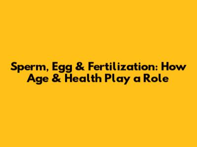 Sperm, Egg & Fertilization: How Age & Health Play a Role