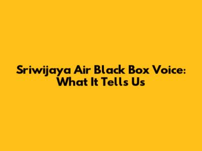 Sriwijaya Air Black Box Voice: What It Tells Us