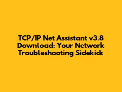 TCP/IP Net Assistant v3.8 Download: Your Network Troubleshooting Sidekick